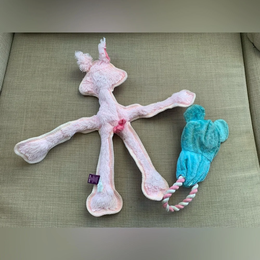 Robe & Squeaky pig dog toy bundle